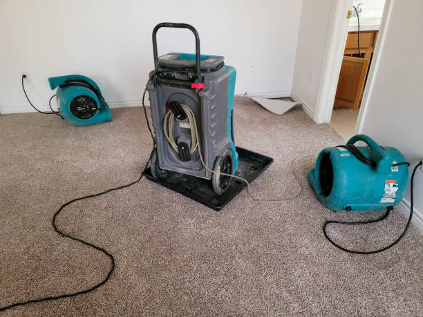 Professional Water damage restoration in Valley Grande, AL
