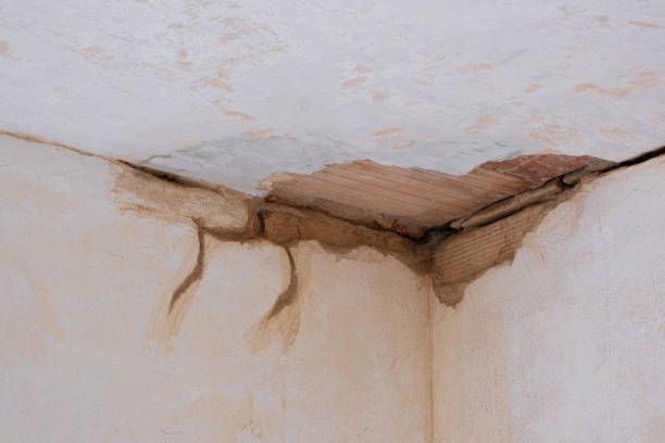 Best Flood damage cleanup  in Vley Grande, AL