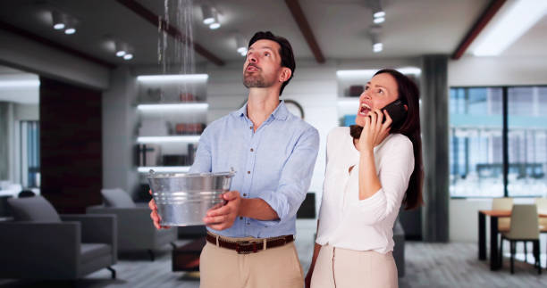 Best Water damage contractors near me  in Vley Grande, AL
