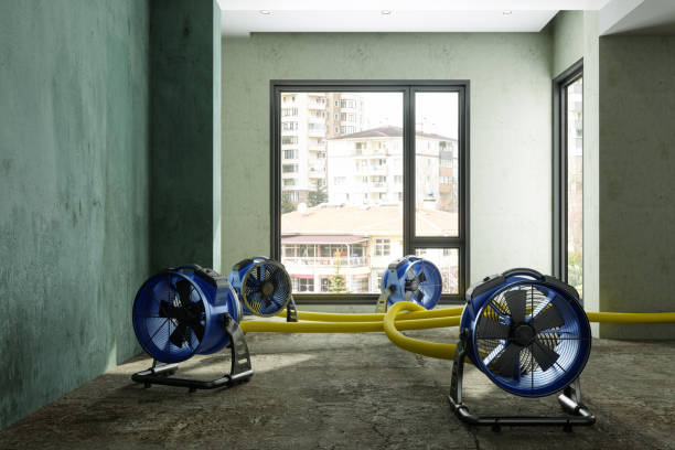 Sewage cleanup and water damage restoration in Valley Grande, AL